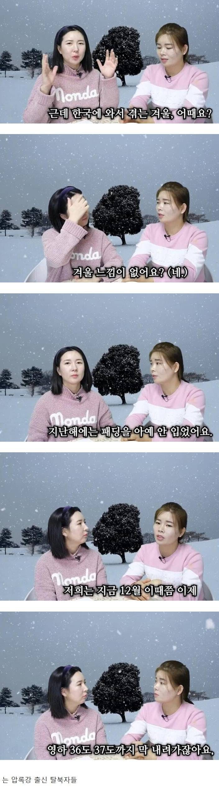 한국의 겨울이 뭐가 춥냐는 사람