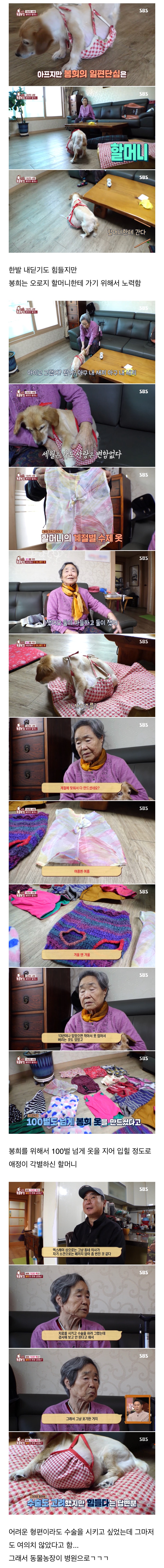 결국 80대 할머님을 울게 만든 동물농장 제작진들..jpg