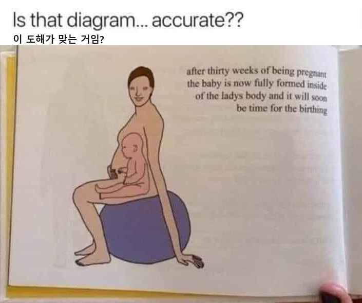 임신 설명하는 삽화.jpg