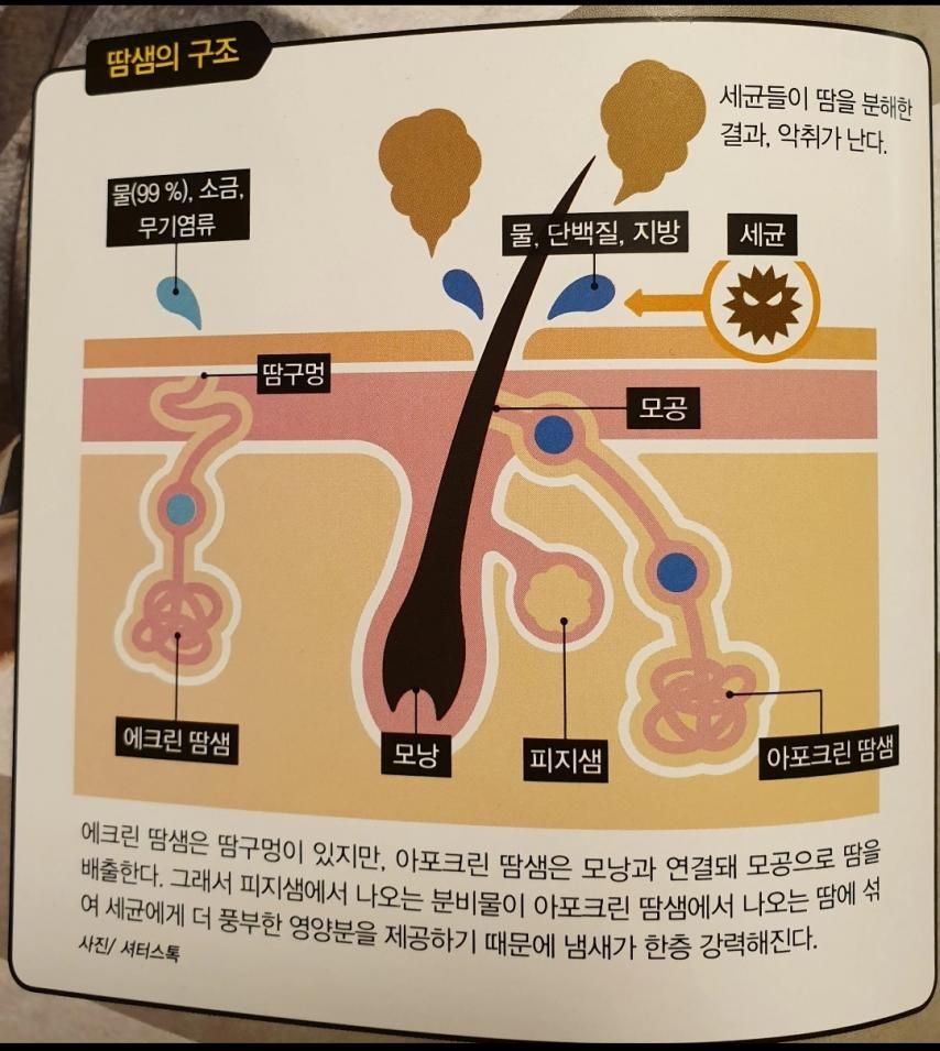 한국인 냄새 유전자 관련 과학책 내용.jpg
