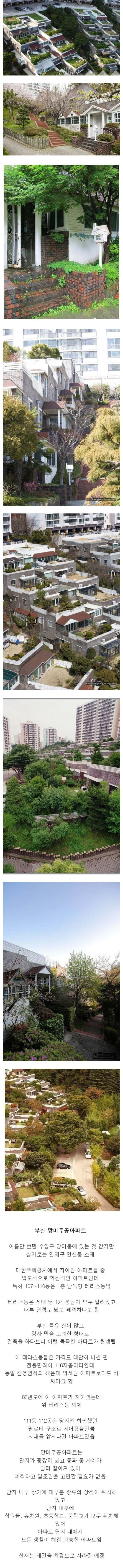  					한국에서 가장 특이한 아파트.jpg