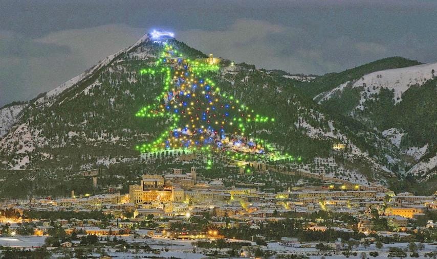 기네스북에 등재 된 세계 최대 크리스마스 트리