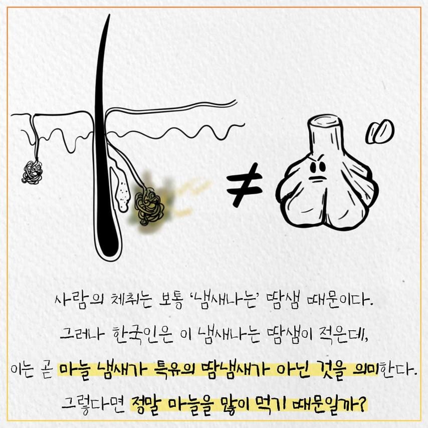 한국인들에게 마늘 냄새가 난다고 하는 이유.jpg