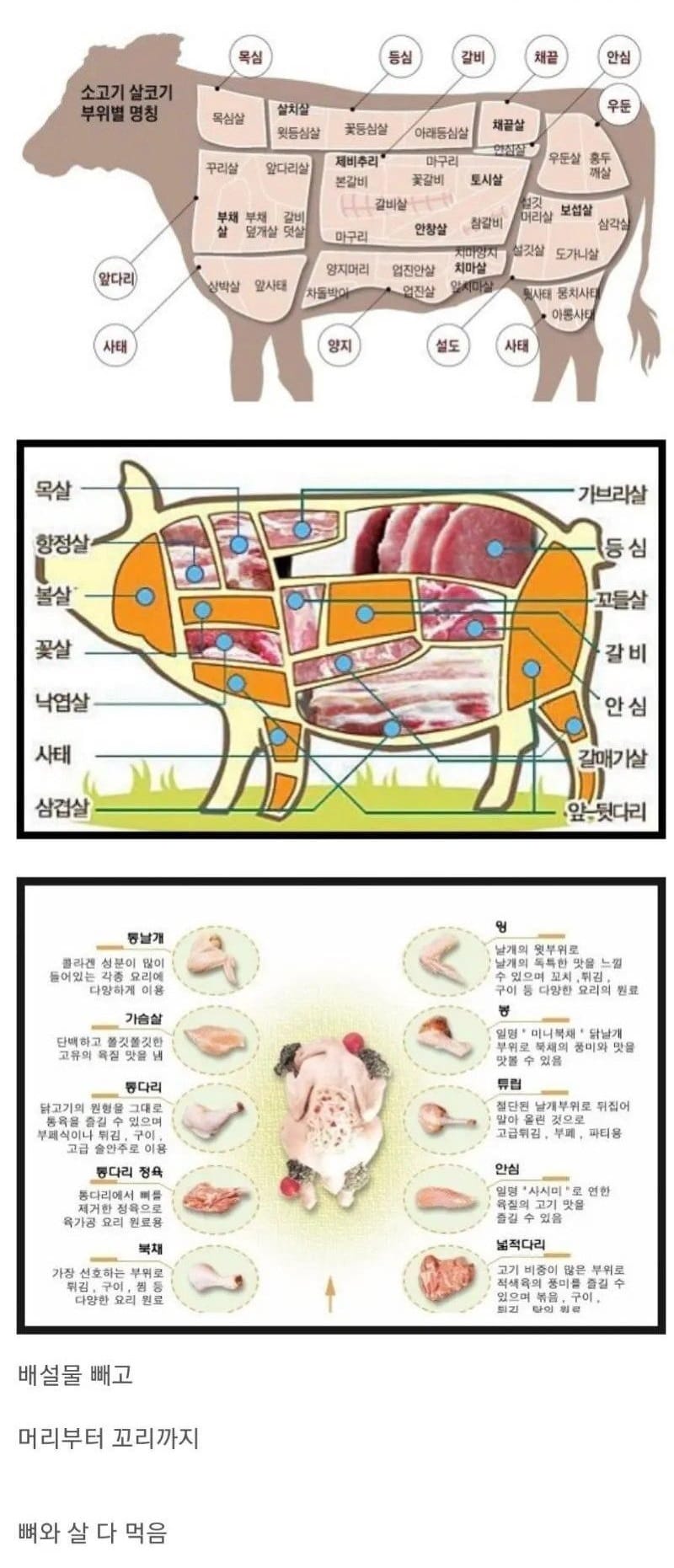 한국인의 식성 특징.jpg