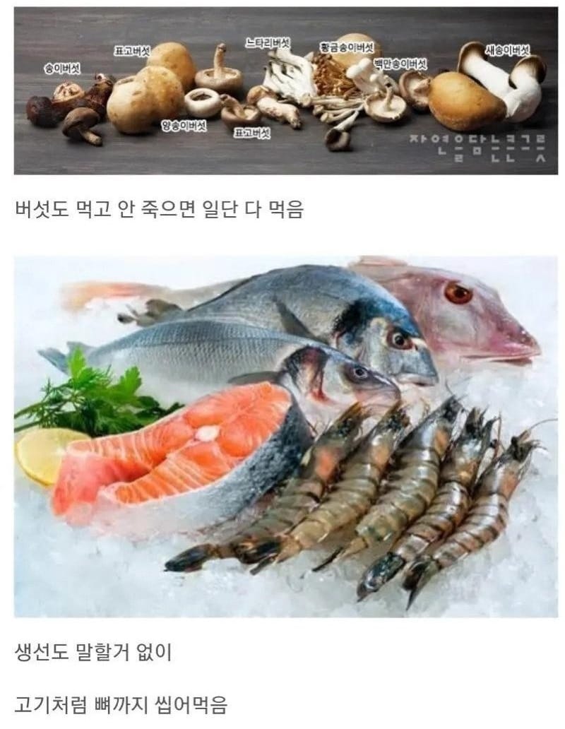 한국인의 식성 특징.jpg