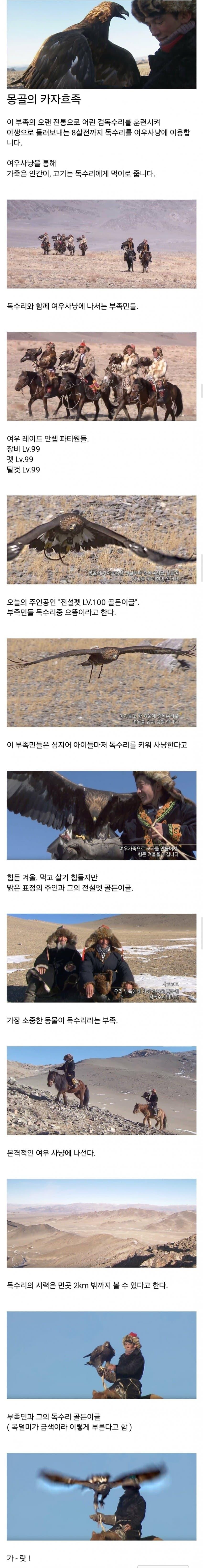 몽골 카자흐족 검독수리 사냥