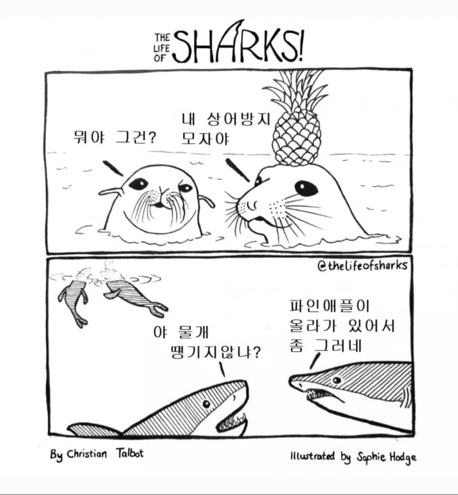 상어방지모자