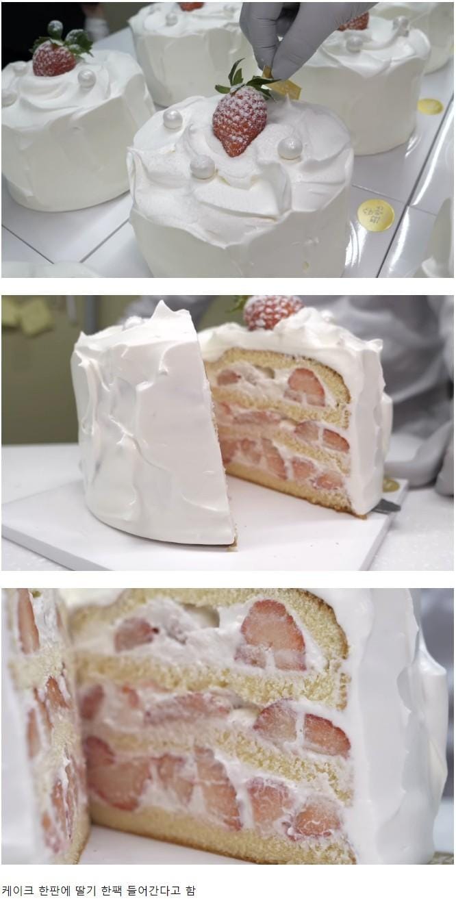 대구에서 파는 35,000원짜리 딸기 케이크