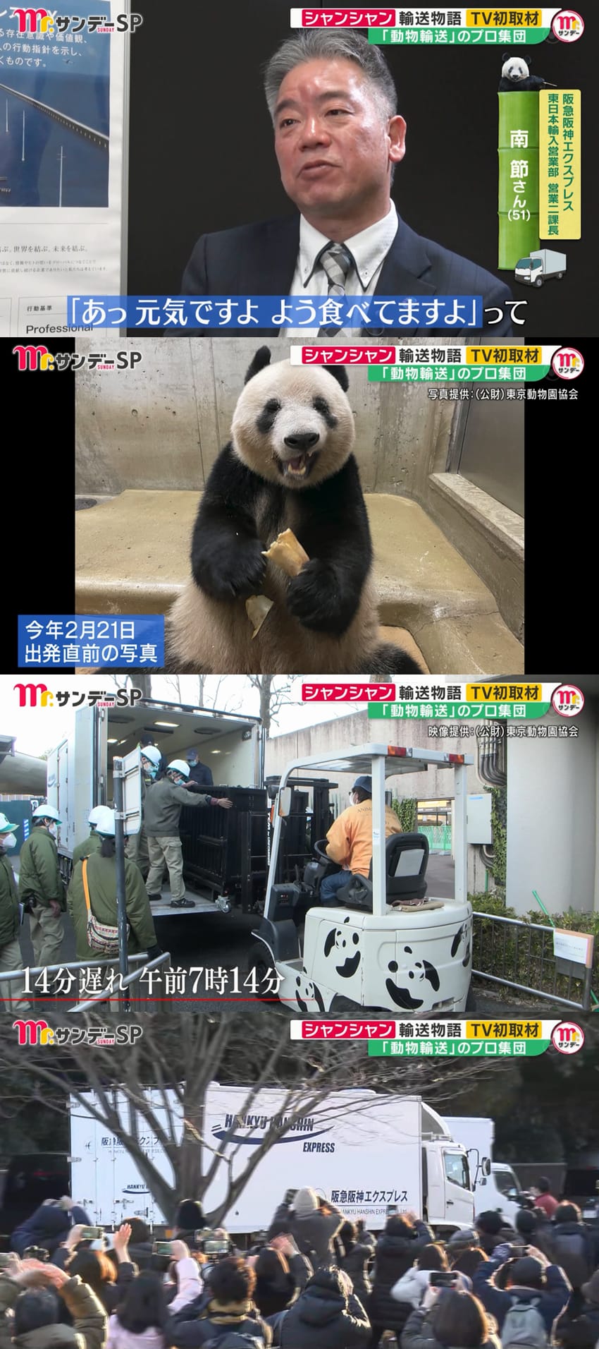 어제 일본 방송에서 처음으로 공개된 판다 샹샹 중국 반환 과정