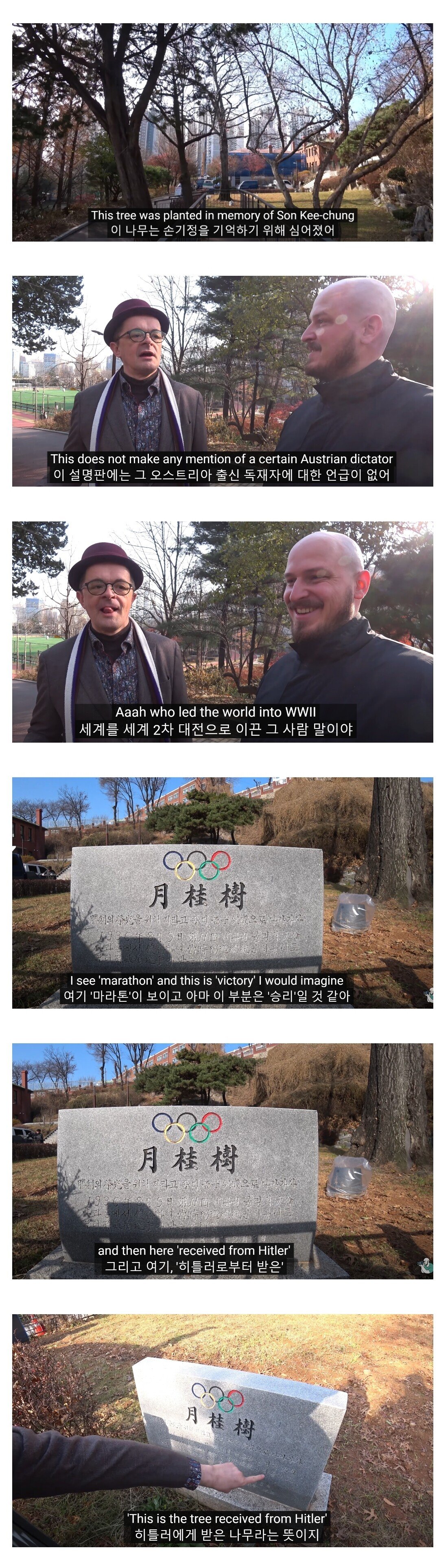 의외로 한국에 있는 히틀러가 준 나무.jpg