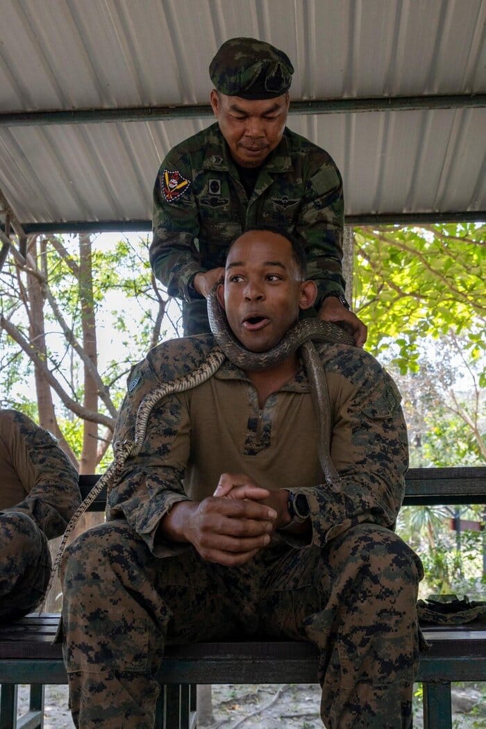 태국 해병대가 주관하는 정글 극복 훈련.jpg