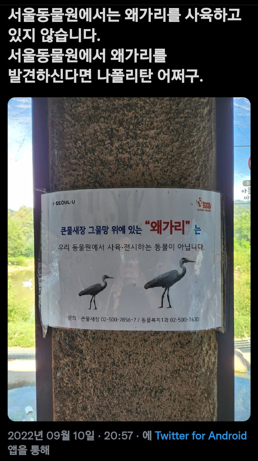 서울대공원에서는 왜가리를 사육하고 있지 않습니다.