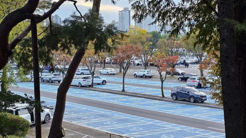 (펌) 서울대공원 주차장, 무개념 주차 모습