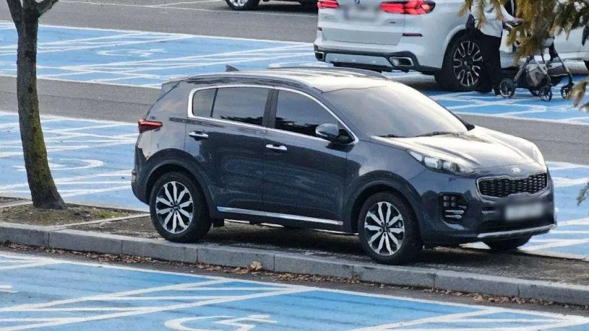 (펌) 서울대공원 주차장, 무개념 주차 모습