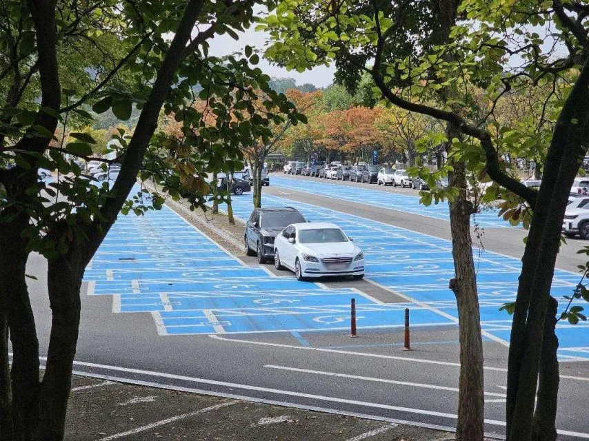 (펌) 서울대공원 주차장, 무개념 주차 모습