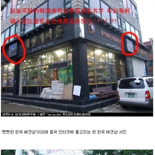 애견샵의 중국진출.jpg
