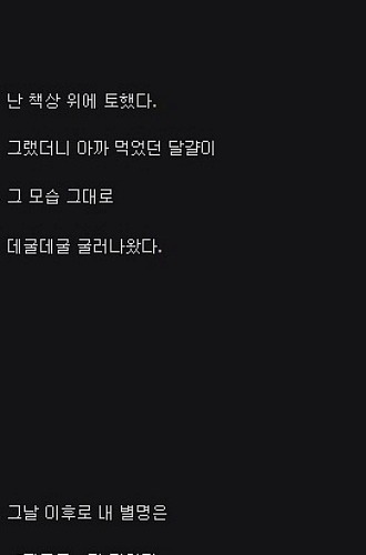 피콜로.jpg