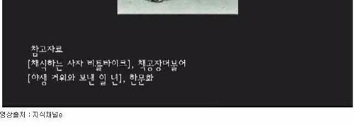 새끼양과 산책하는 사자.jpg