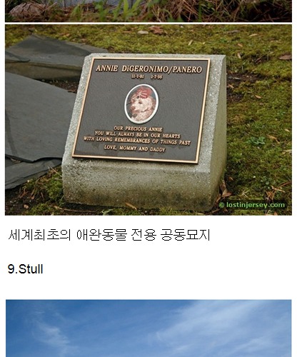 세계의 이색 공동묘지.jpg