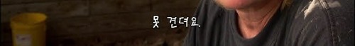 닭의 진실.jpg