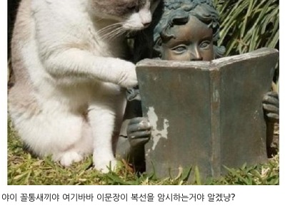 우회전 하라고.jpg