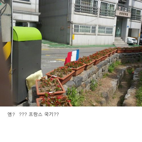 길가에 흔한 프랑스국기.jpg