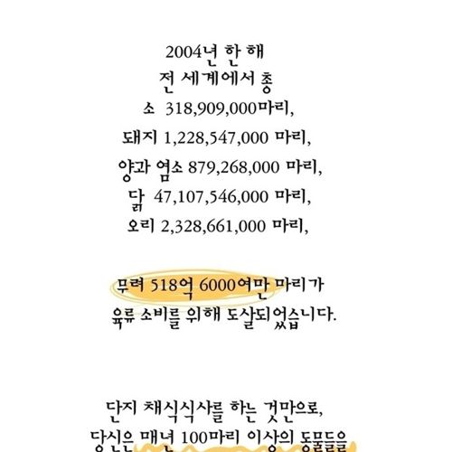 젖소 모아이나의 이야기.jpg