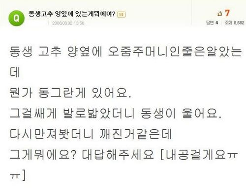 동생의 고추방울.jpg