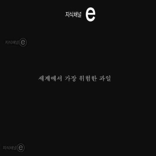 세계에서 가장 위험한 과일.jpg