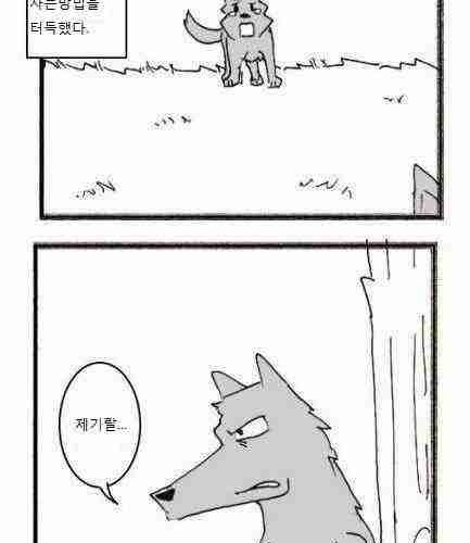 늑대와 양.jpg