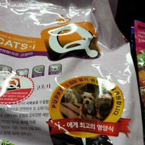 발빠른 대처.jpg