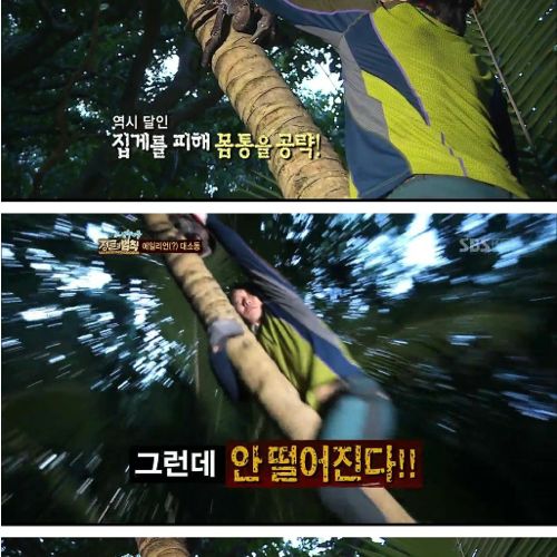 [스압] 정글의 아침.jpg