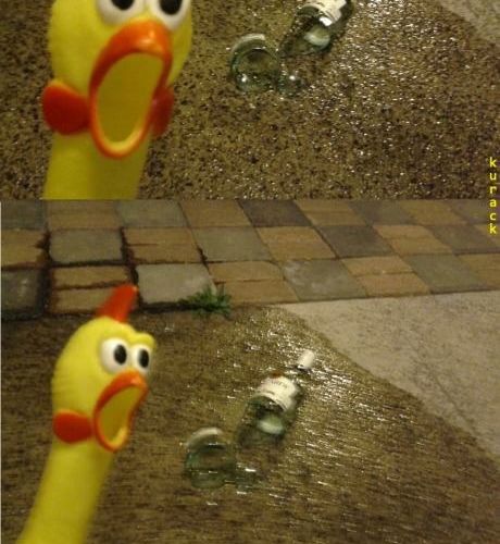 끼아악.jpg