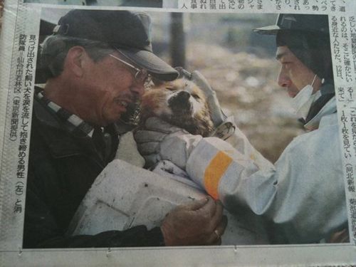 가슴이 먹먹해지는 사진들.jpg