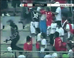 뒷북류.gif