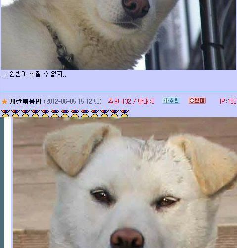 김국진 과거.jpg
