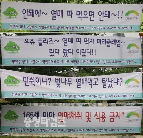 공무원의 센스.jpg