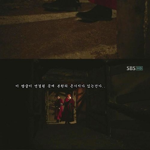 뿌리깊은 땅굴.jpg