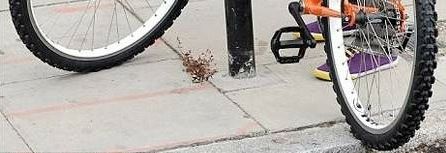 자전거 도난방지류.jpg