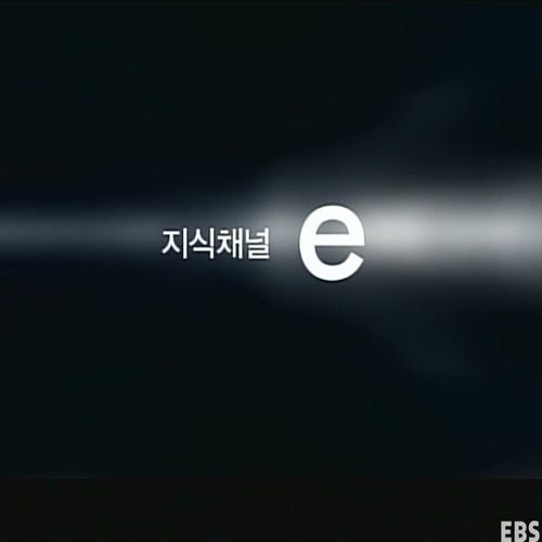 요즘을 묻는 당신에게.jpg