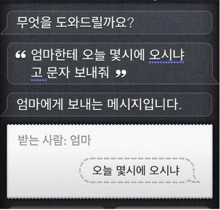시리의 패륜.jpg