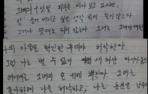 표현력 甲.jpg
