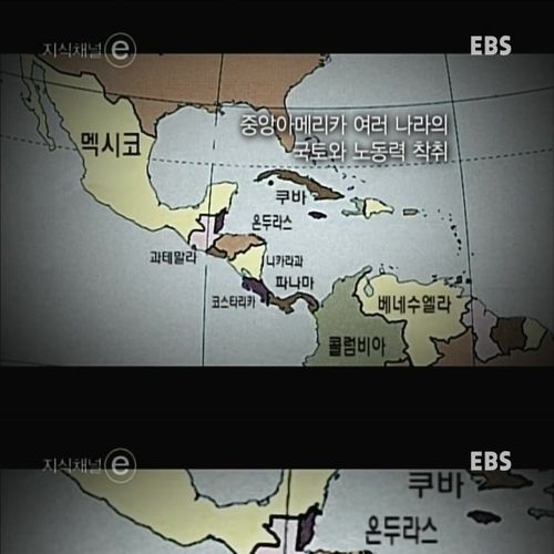 멸종위기 바나나.jpg