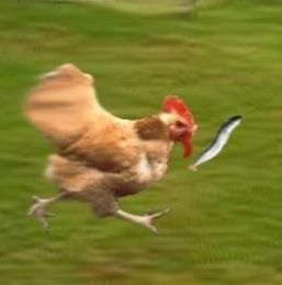 한,중,일 한컷으로 표현.jpg