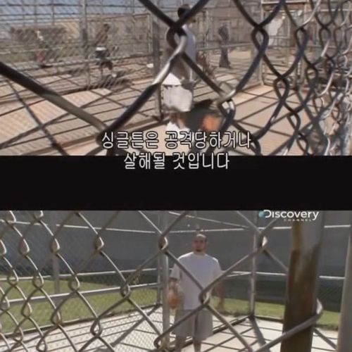 미국의 아동 성범죄자.jpg