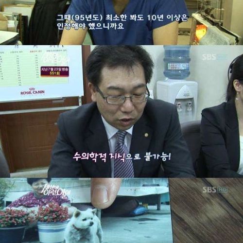 사람으로 치면 200살 넘은 개