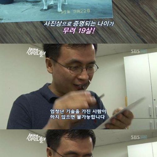 사람으로 치면 200살 넘은 개