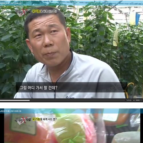 유기농 상품의 진실.jpg