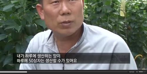 유기농 상품의 진실.jpg