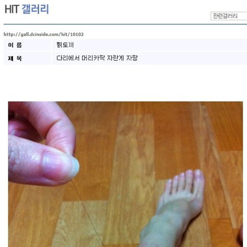 DC어느 처자의 다리털 자랑